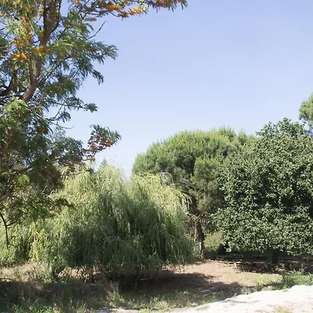 Quinta Da Galeana Dreaming * 로리냐