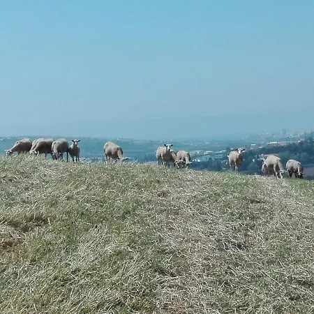 B&B Quinta Da Galeana Dreaming *