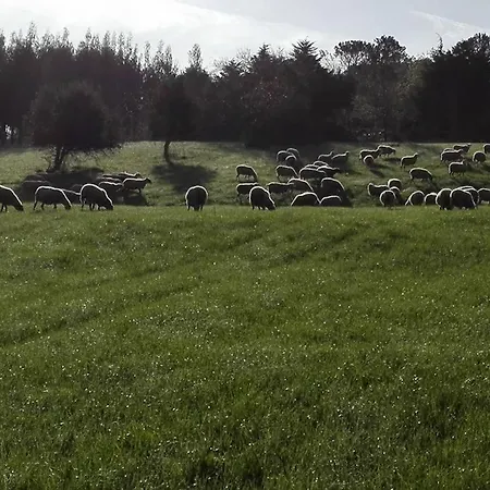 Quinta Da Galeana Dreaming B&B 로리냐