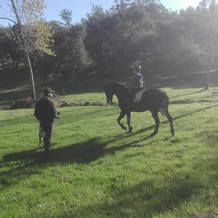 Quinta Da Galeana Dreaming B&B