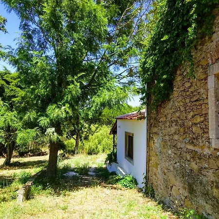 Quinta Da Galeana Dreaming Couette-café *