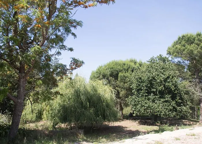 Quinta Da Galeana Dreaming * Лориньян