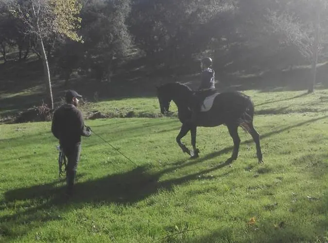 Quinta Da Galeana Dreaming Отель типа 