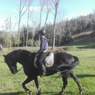 Quinta Da Galeana Dreaming Отель типа 