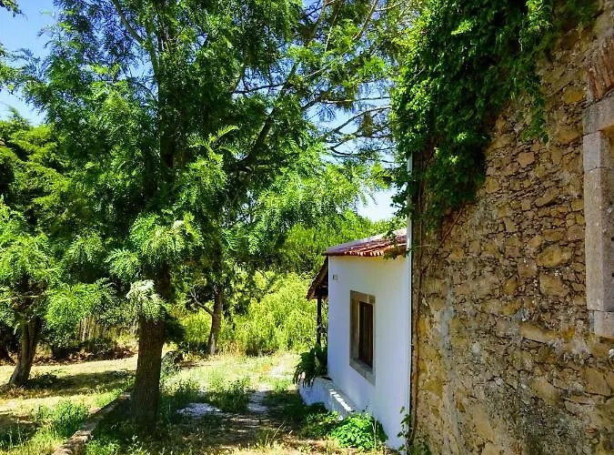 Quinta Da Galeana Dreaming Отель типа 