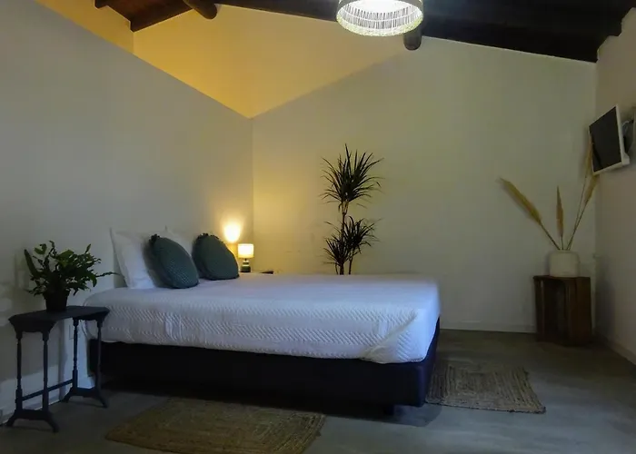 Quinta Da Galeana Dreaming Отель типа 